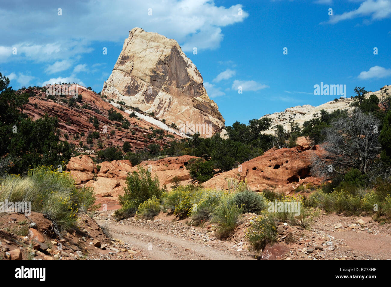 Haut Muley Twist Trail Capital Reef UT 0509272673 Banque D'Images