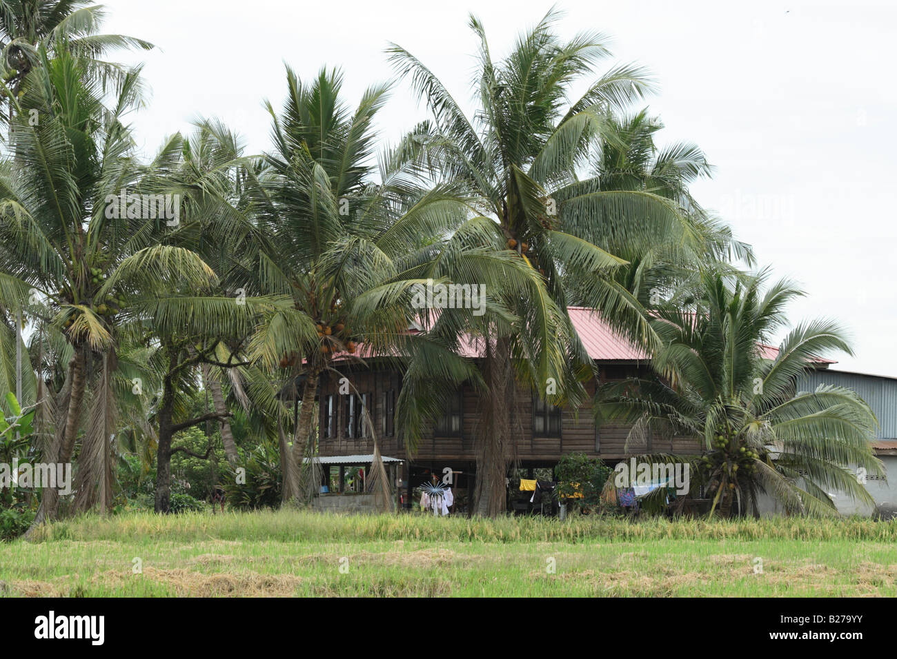 Maison de village rural de Malaisie sur pilotis Banque D'Images