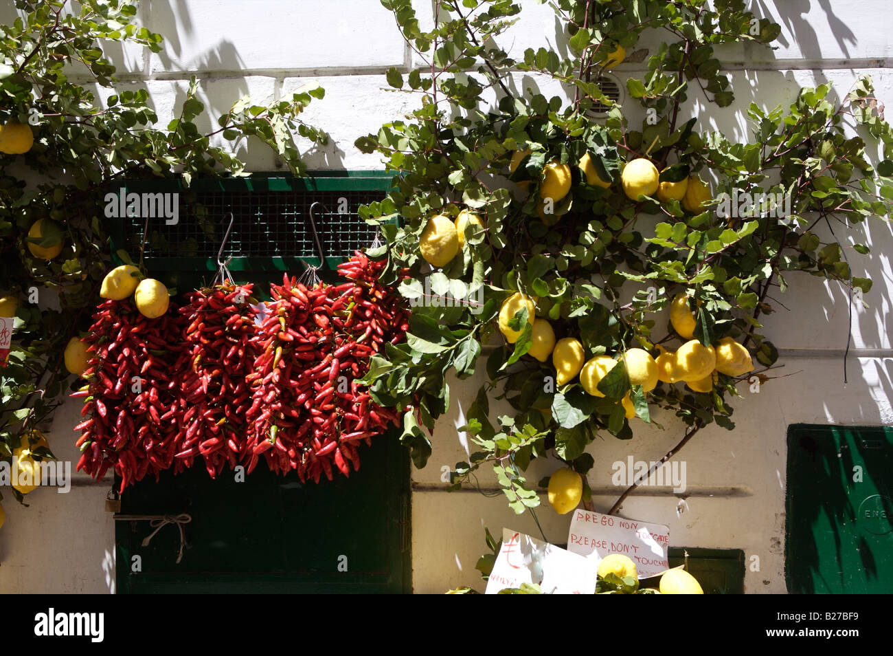Citrons jaunes et chillis rouges suspendus à l'extérieur d'un magasin de légumes à vendre en Italie Banque D'Images