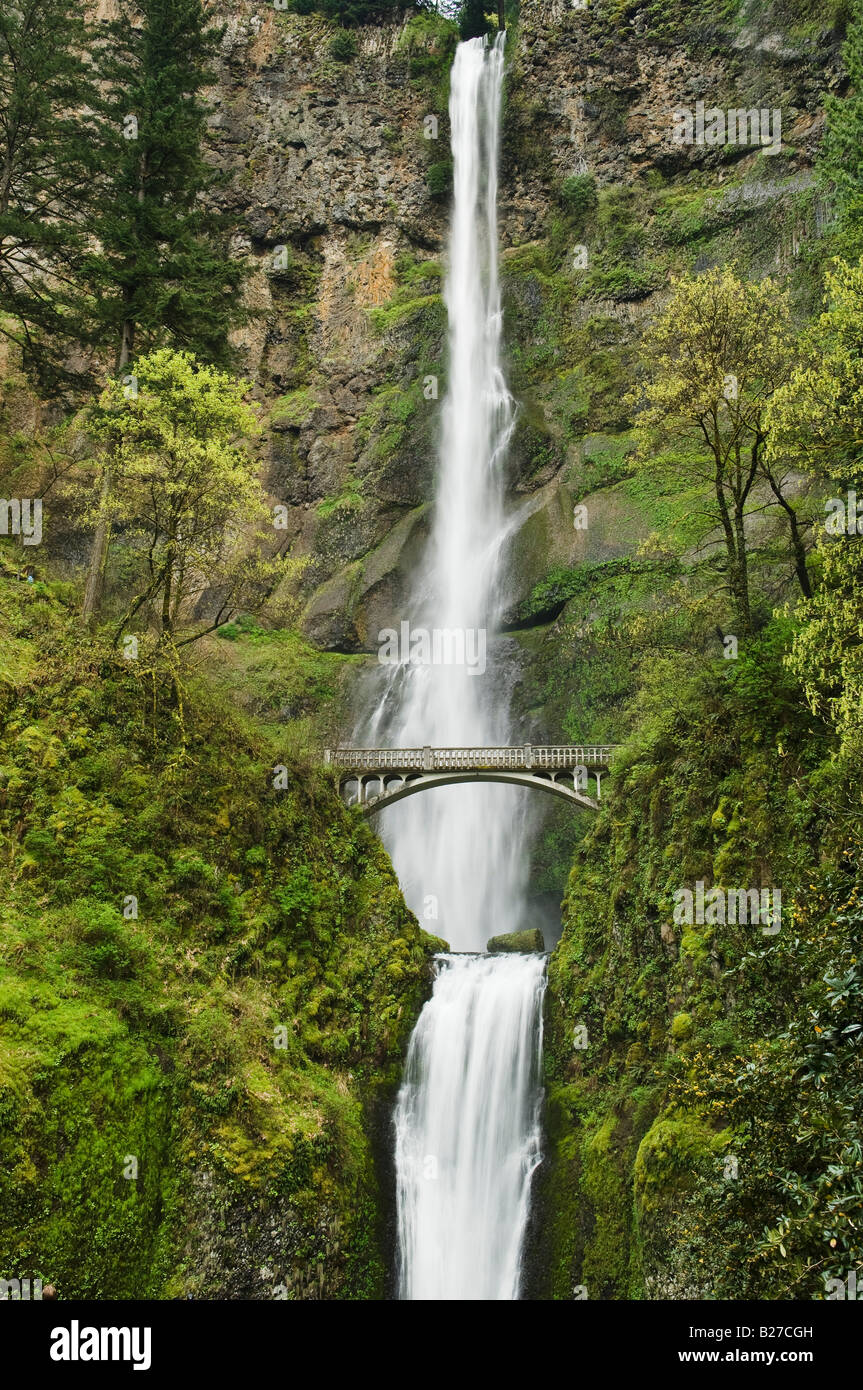 Chutes de Multnomah Columbia River Gorge National Scenic Area Oregon Banque D'Images