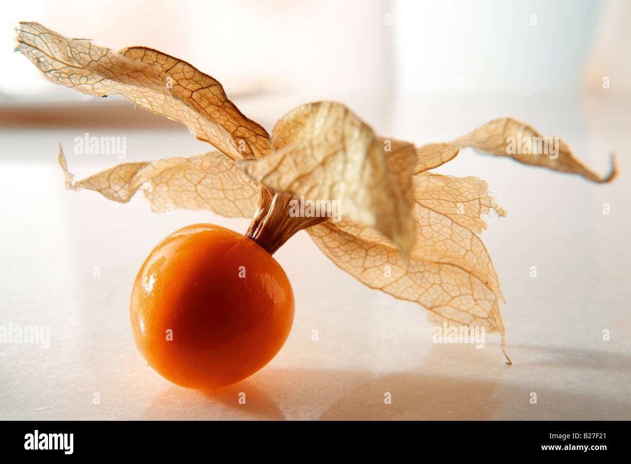 Physalis bio ( Physalis Peruviana ) - super aliments Berry Inca Banque D'Images