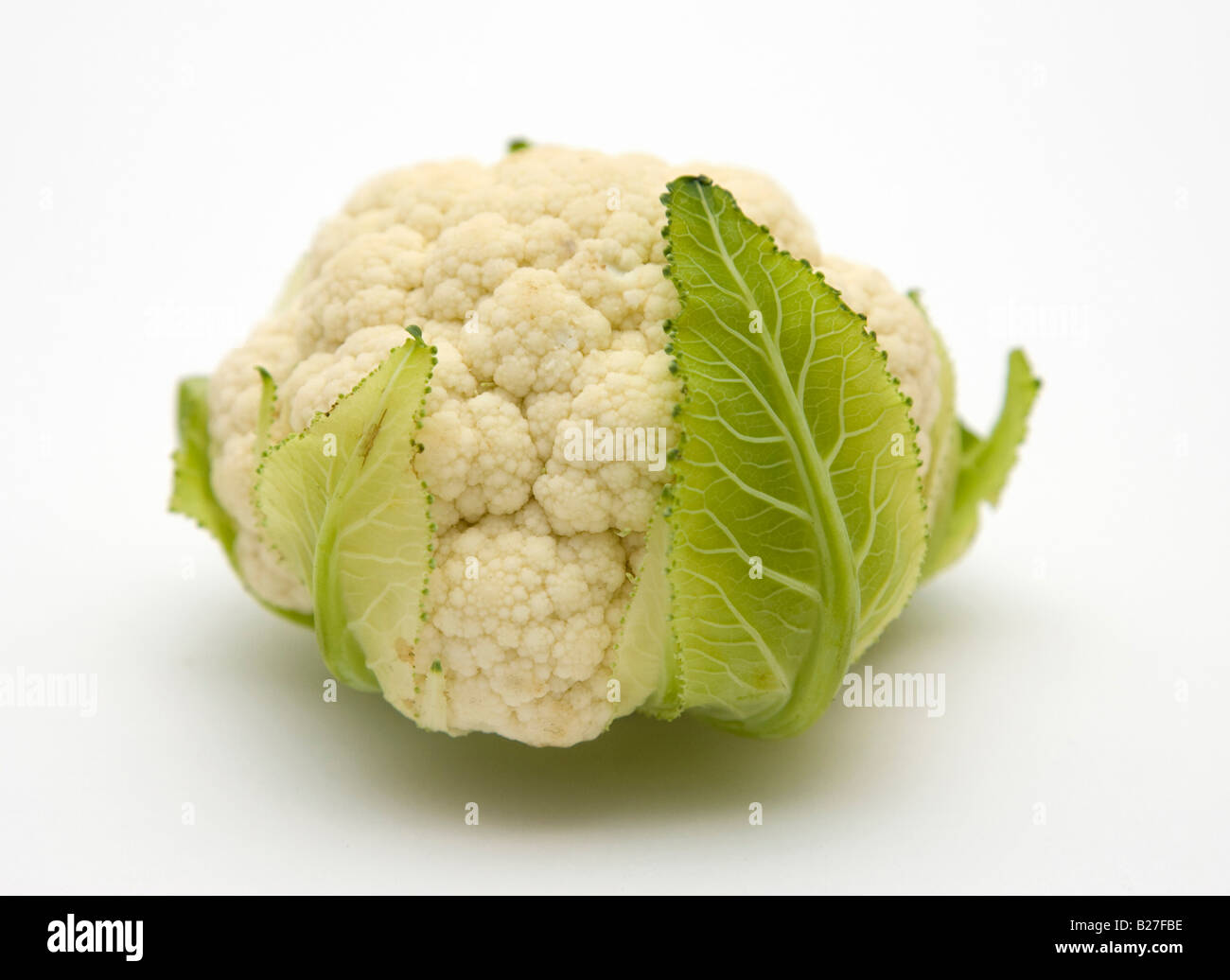 Taille Bebe Chou Fleur Photo Stock Alamy