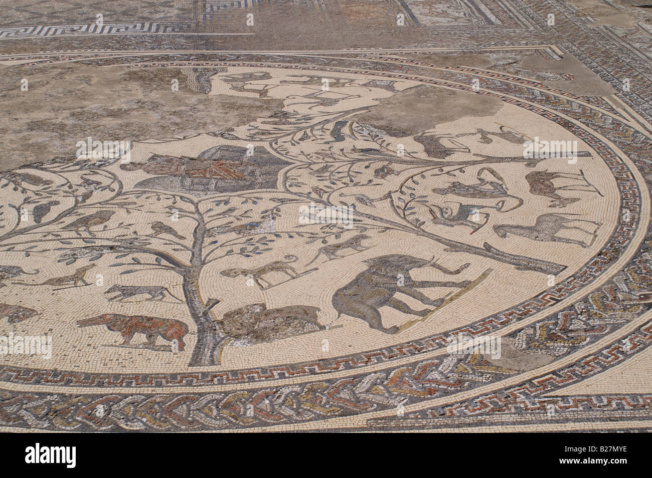 Mosaïque romaine à Volubilis, Maroc Banque D'Images