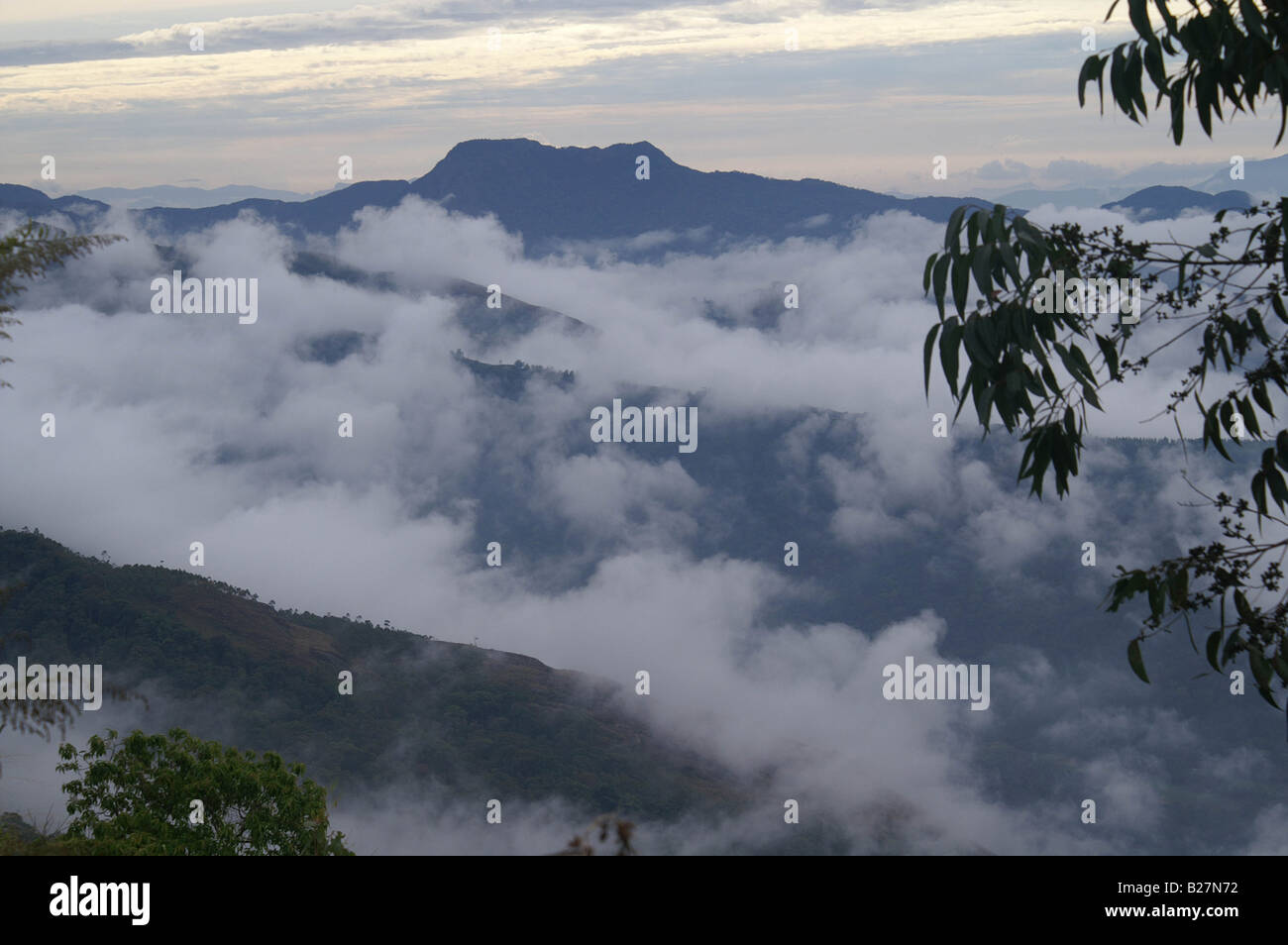 Les Western Ghats, Kerala, Inde Banque D'Images