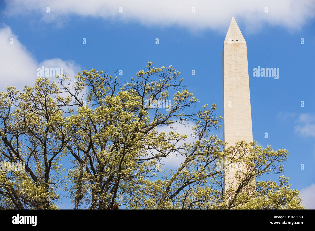 Le Monument de Washington, Washington DC, United States Banque D'Images