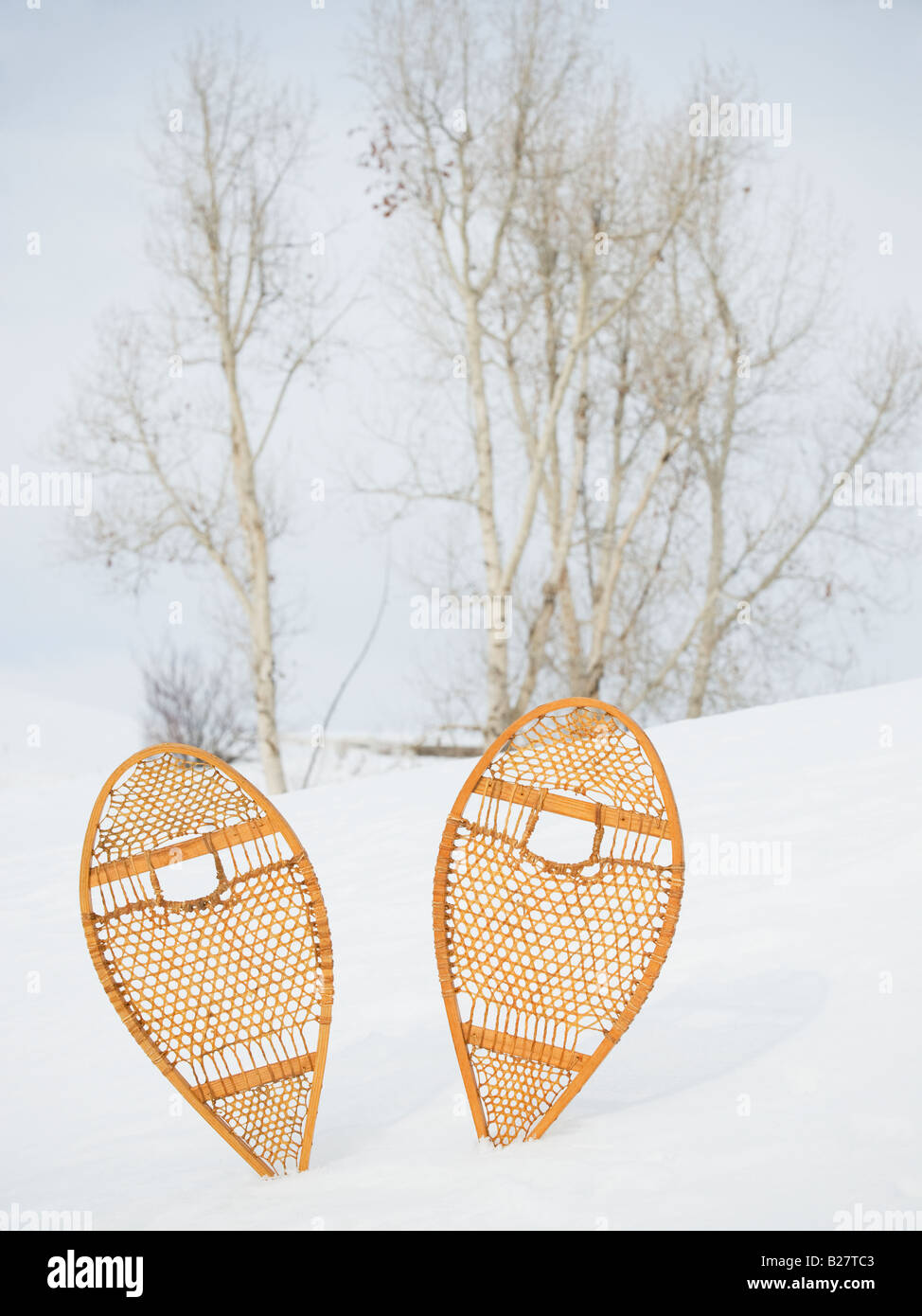 Chaussures de neige restée prise dans la neige Banque D'Images