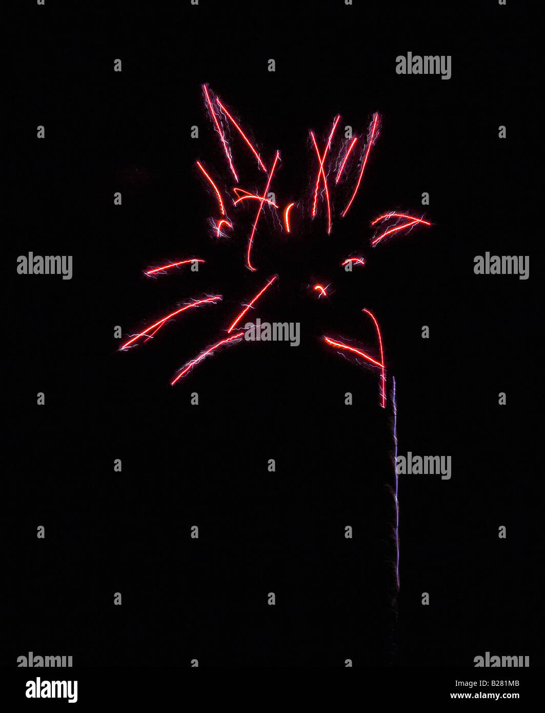 D'artifice ressemble à une fleur au néon, complète avec tige Banque D'Images