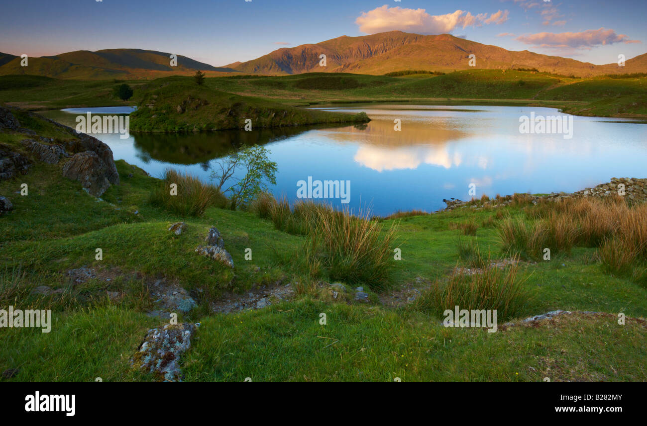 La lumière de fin de soirée hits Mont Snowdon dans cette vue à travers Llyn y Dywarchen Snowdonia dans Banque D'Images
