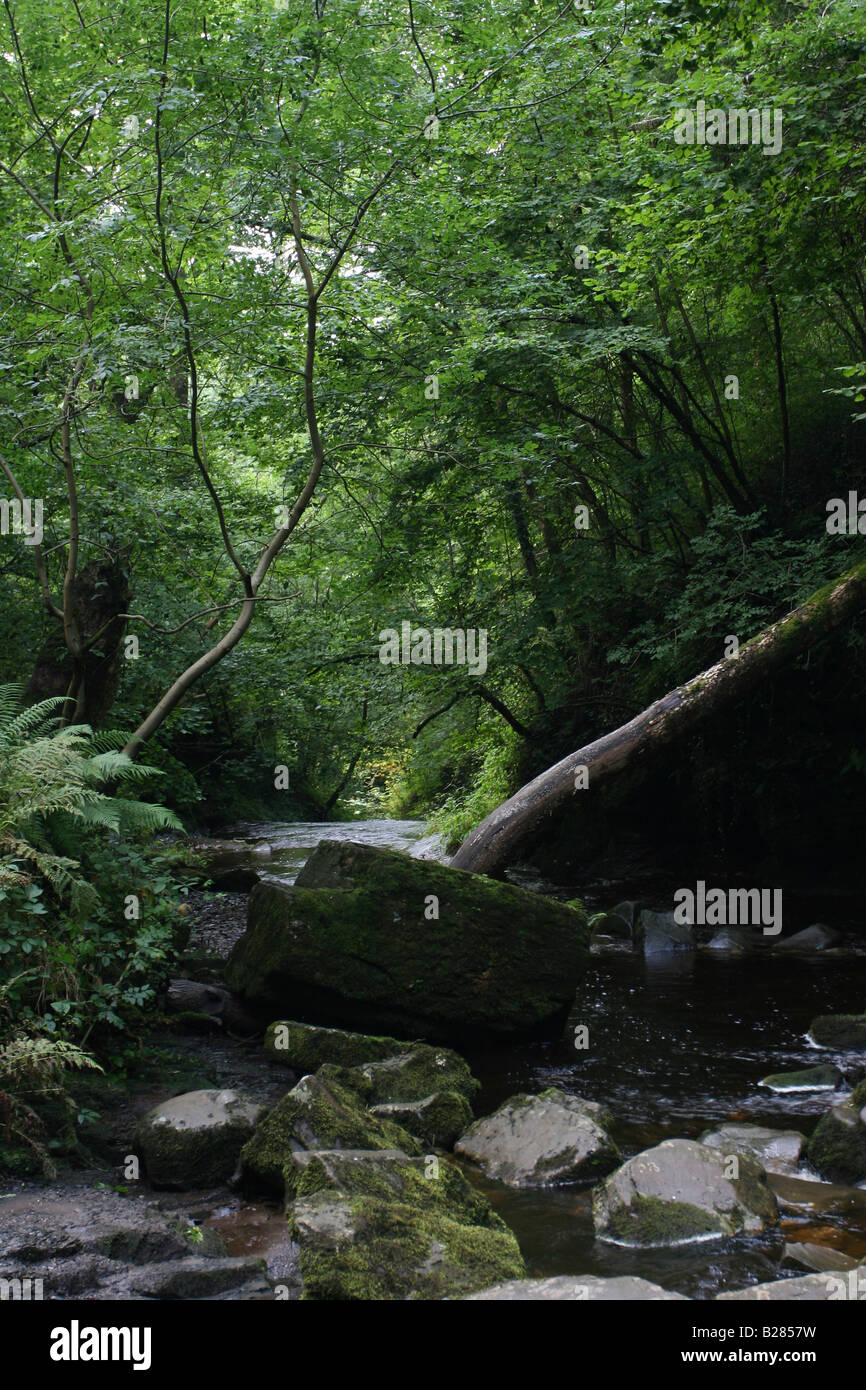 UK de galles Monmouthshire Brecon Beacons National Park Banque D'Images