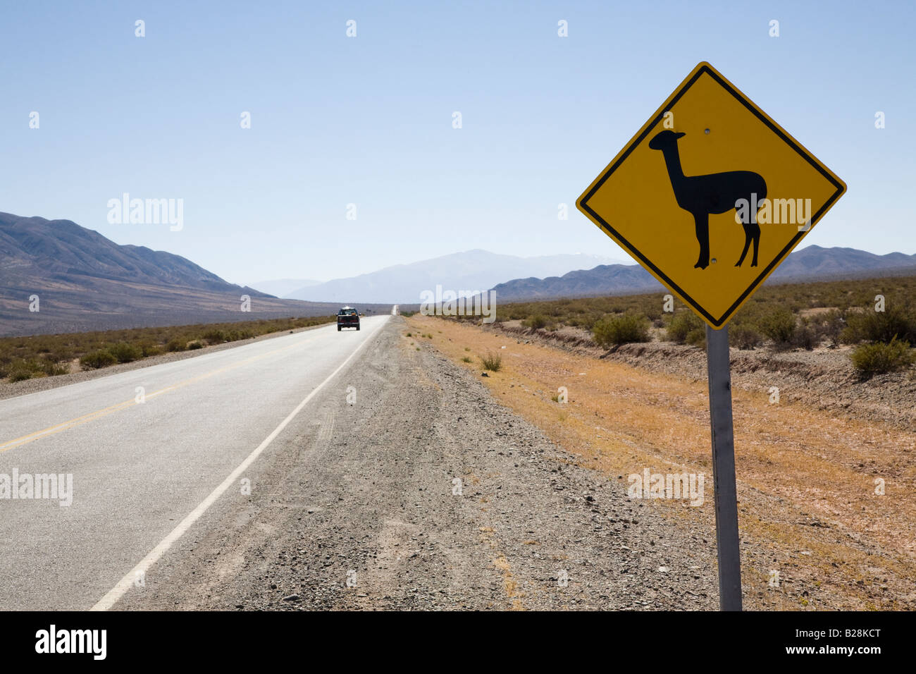 La Recta del Tin Tin, Parque Nacional de Los Cardones, Argentine Banque D'Images