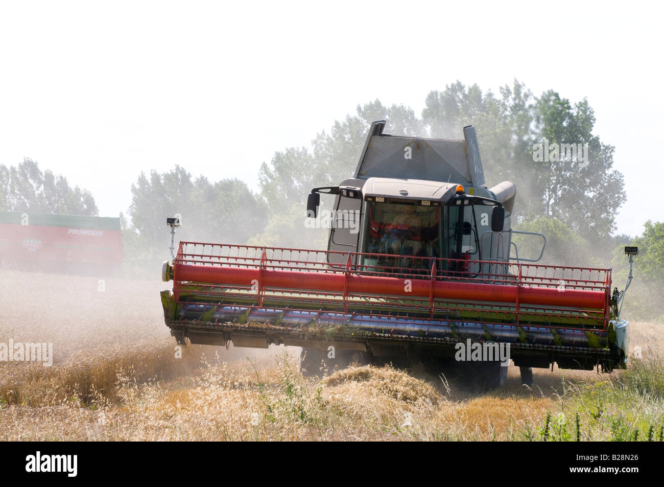 Rendmt Lexion Claas 570 moissonneuse batteuse au travail, Indre-et-Loire, France. Banque D'Images