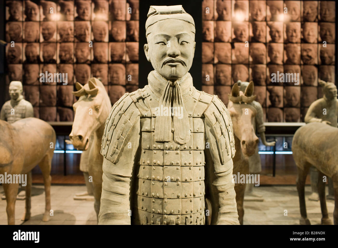 Chevaux de terre cuite sur l'affichage dans le musée d'histoire de Shaanxi Xian Chine Banque D'Images