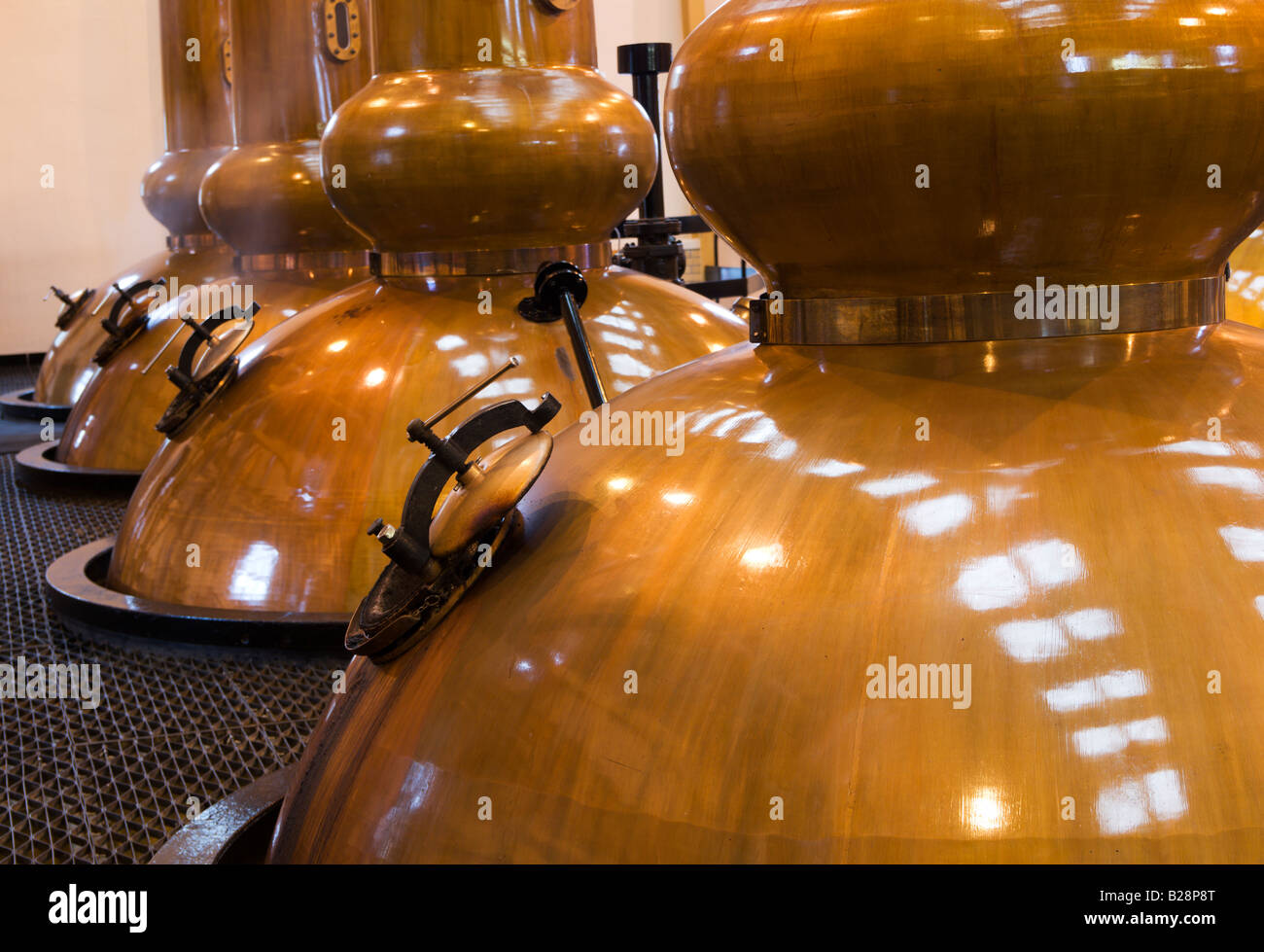 Rangée d'alambiques à Glenmorangie Distillery Banque D'Images