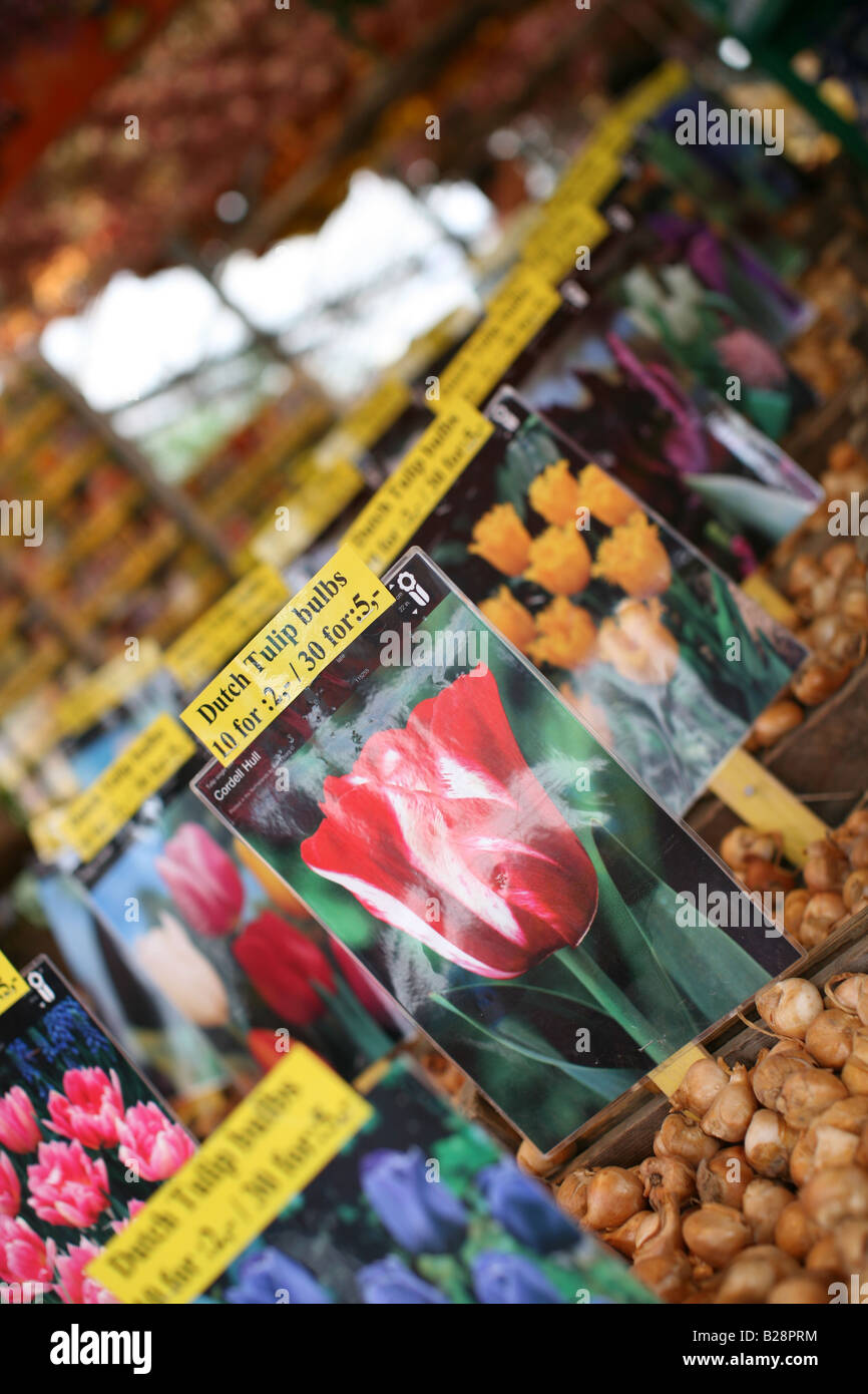 Vente Marché aux Fleurs tulipes Amsterdam Banque D'Images