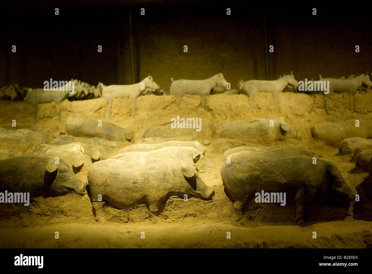 Les figures animales en terre cuite à la Dynastie Han tombe de Han Yang Ling Xian Chine Banque D'Images