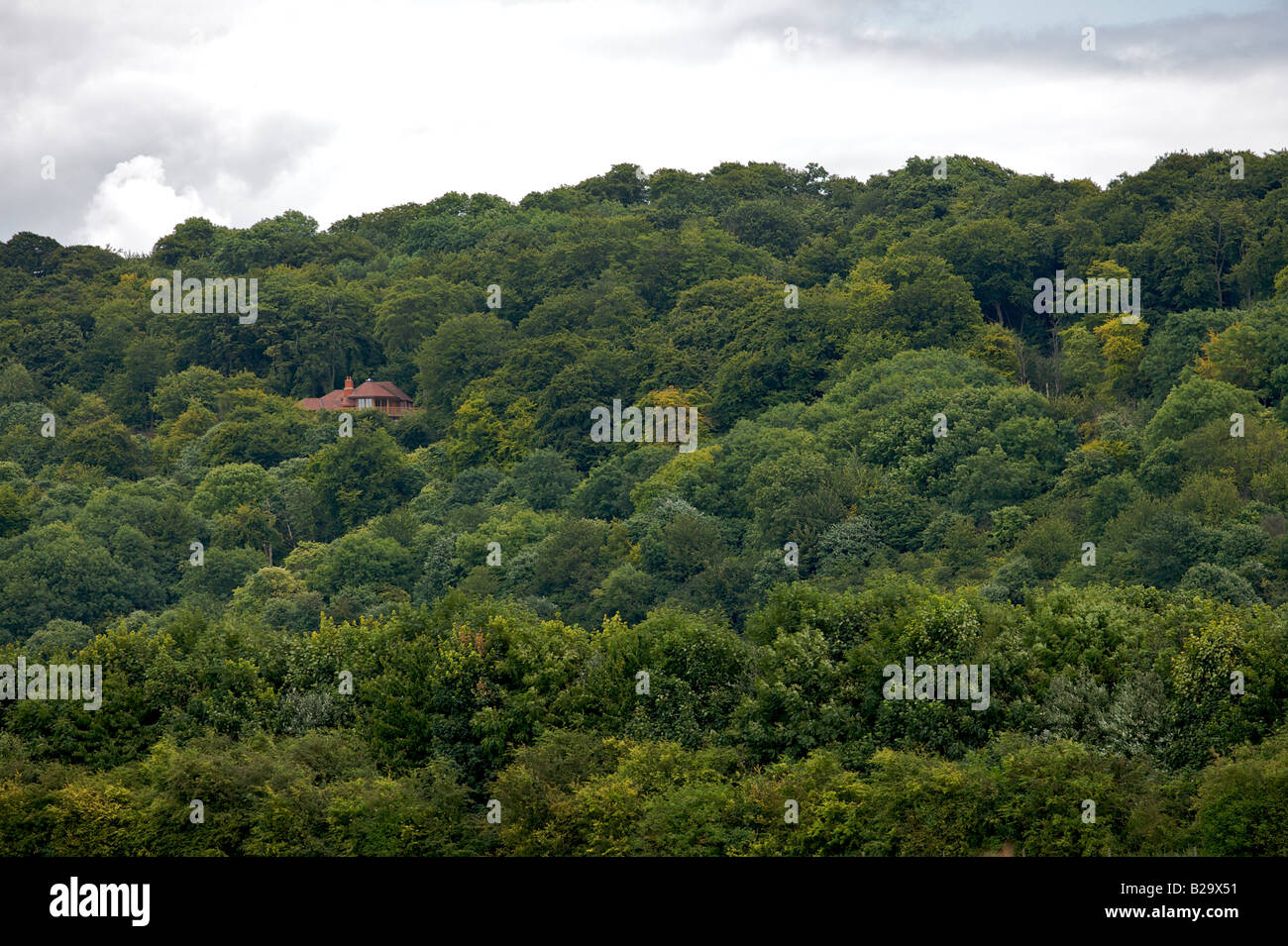 Une maison dans les bois Banque D'Images