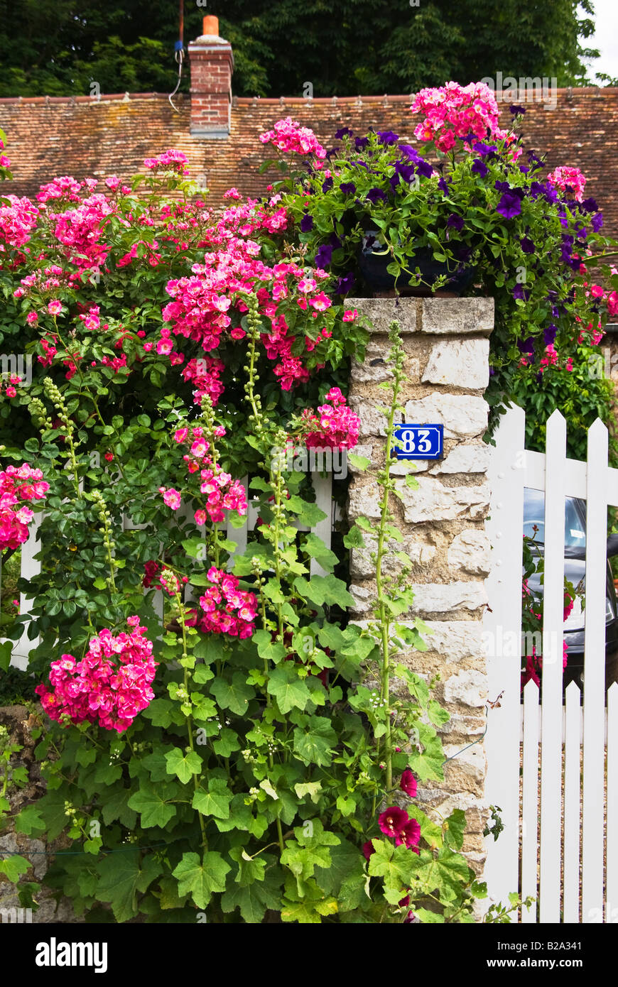 Roses à côté d'une porte d'un village dans les environs de Giverny Normandie France UE Banque D'Images