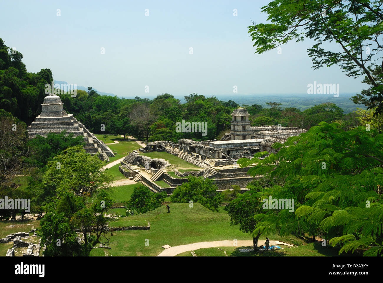 Les ruines Maya de Palenque au Mexique Banque D'Images