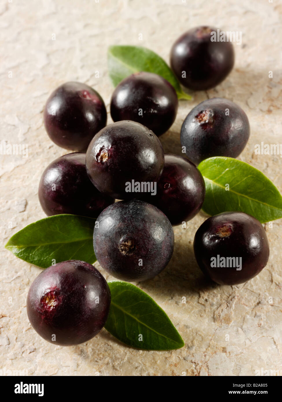 Les baies d'Acai fruit anti oxident loose Banque D'Images