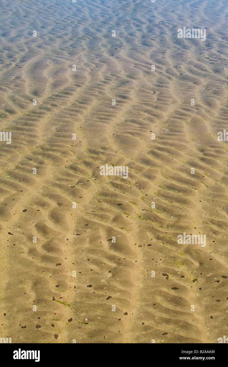 Les ondulations de sable dans une plage en été Banque D'Images