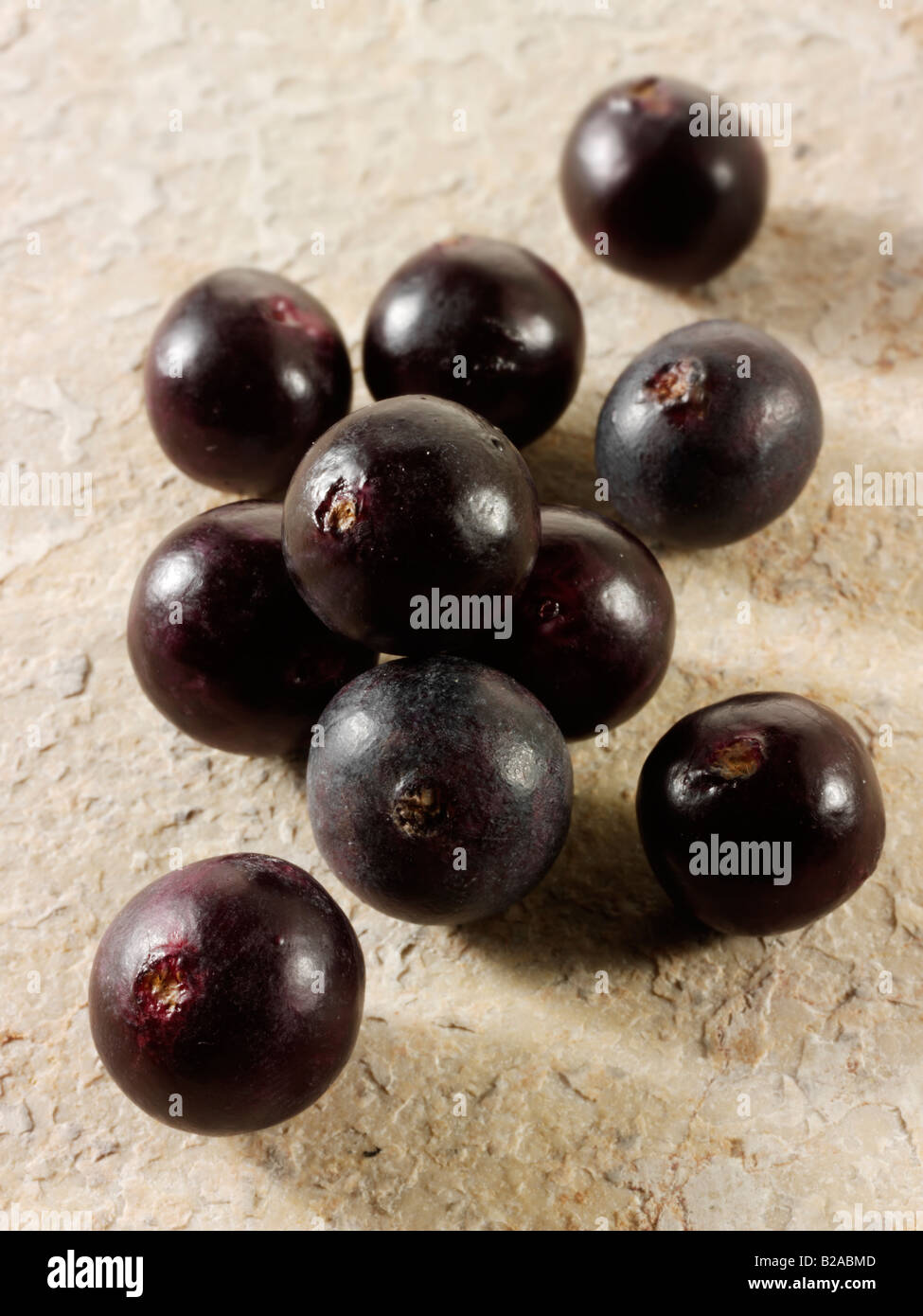 Les baies d'Acai fruit anti oxident loose Banque D'Images