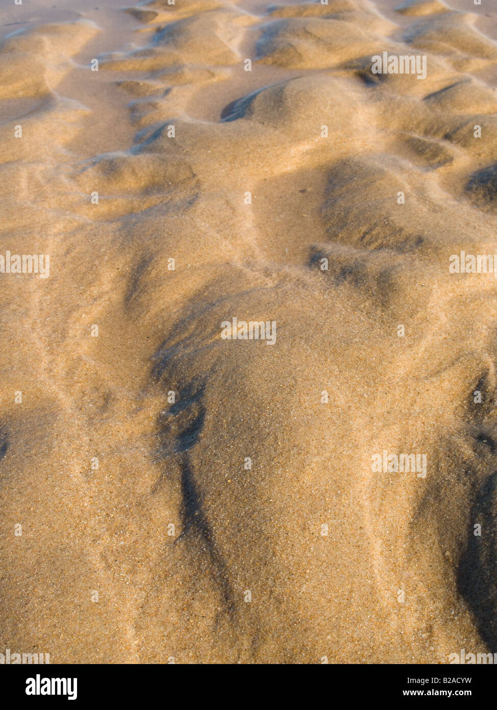 Golden sand ripples texture de fond avec les ombres Banque D'Images