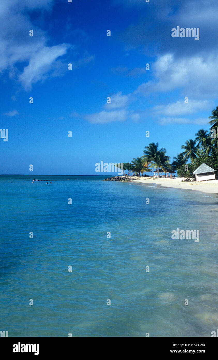 Plage tropicale et cabane sur Tobago Banque D'Images