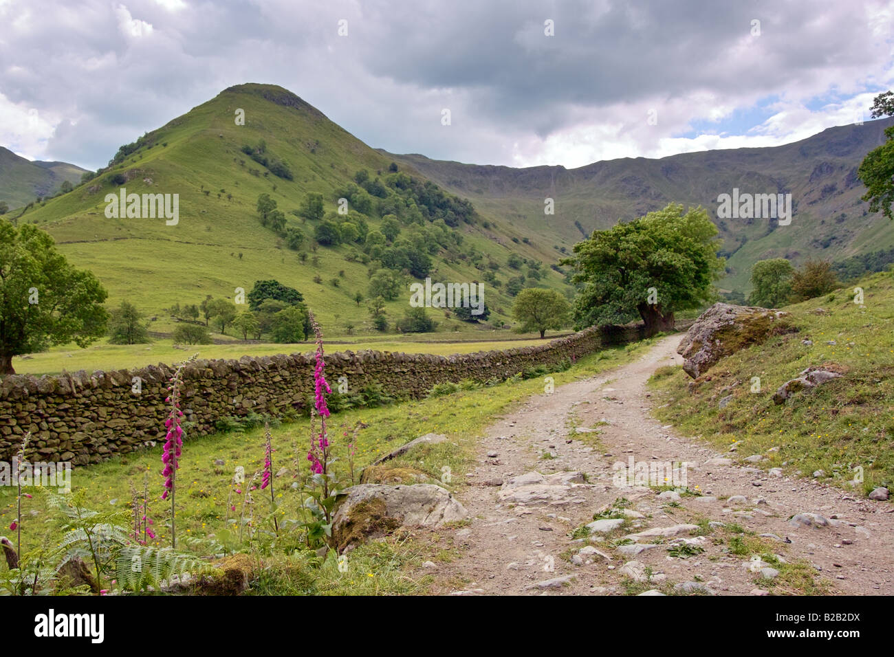 Hartsop Dodd élevée dans le Lake District, Cumbria, Angleterre. Banque D'Images