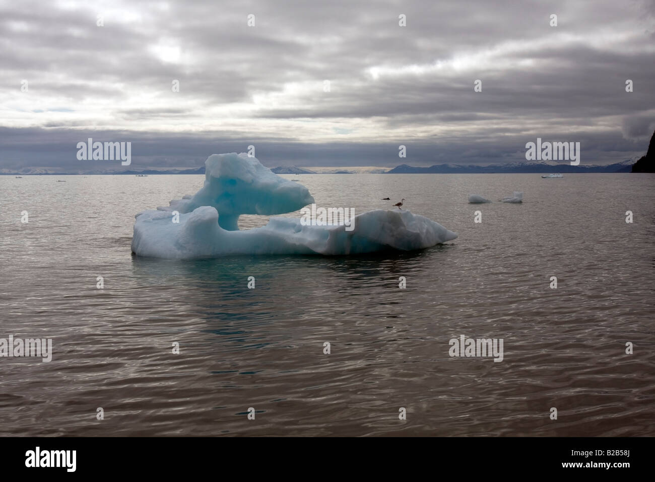 La glace flottante sculpute près d'un glacier d'eau de marée dans l'Alaska. Banque D'Images