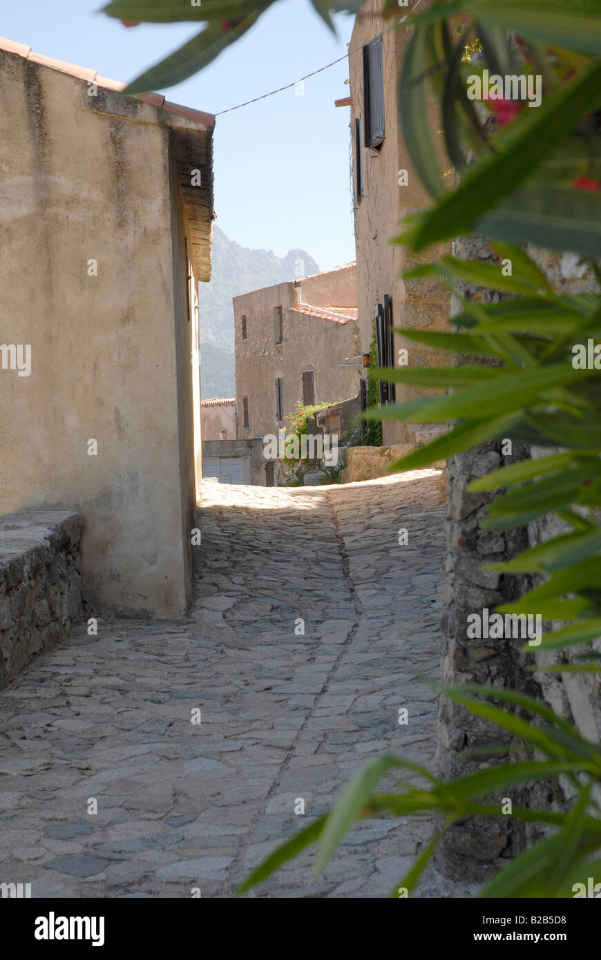 Complexe de la citadelle à Sant Antonino dans le nord de la Corse Banque D'Images