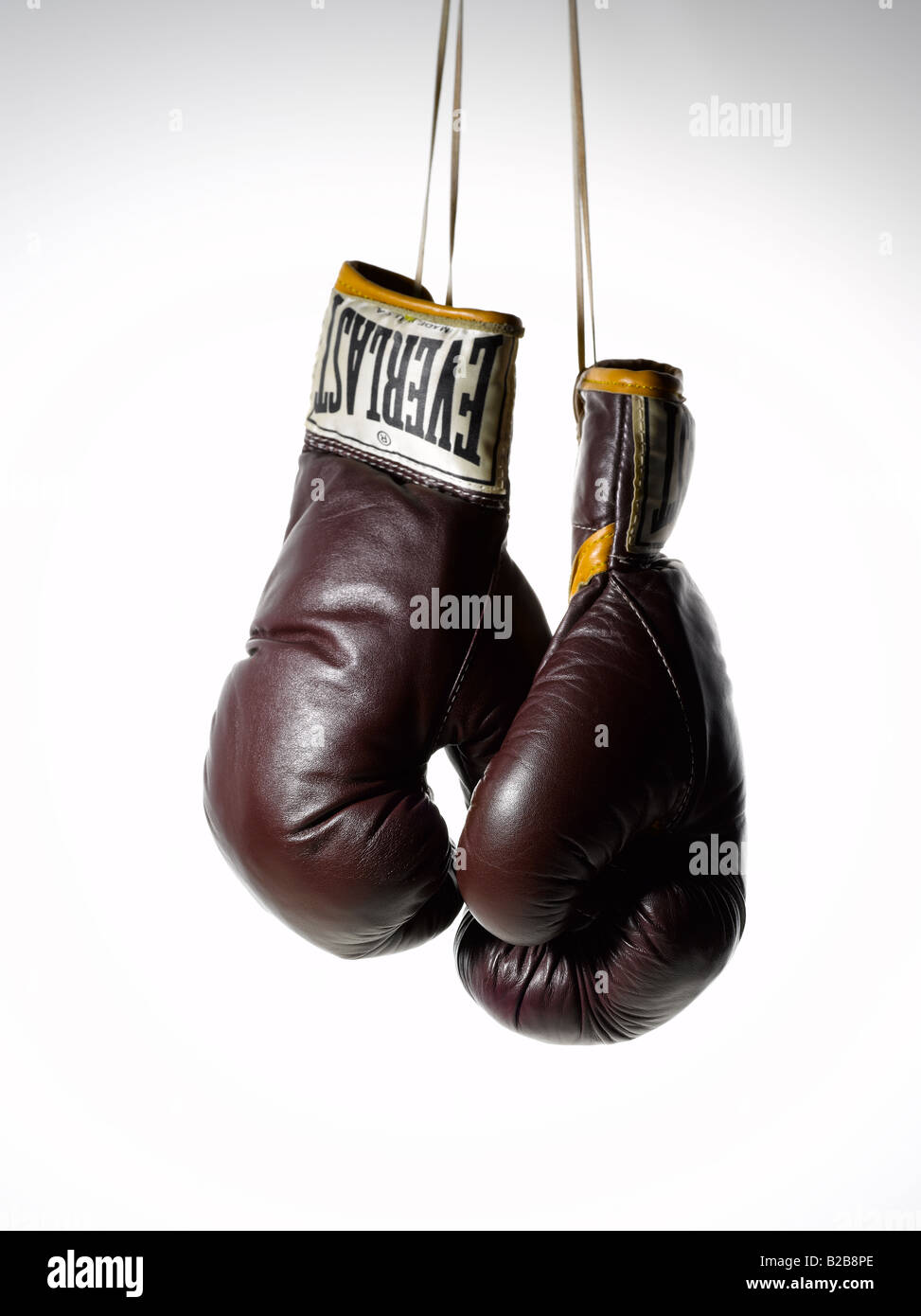 everlast boxe gants