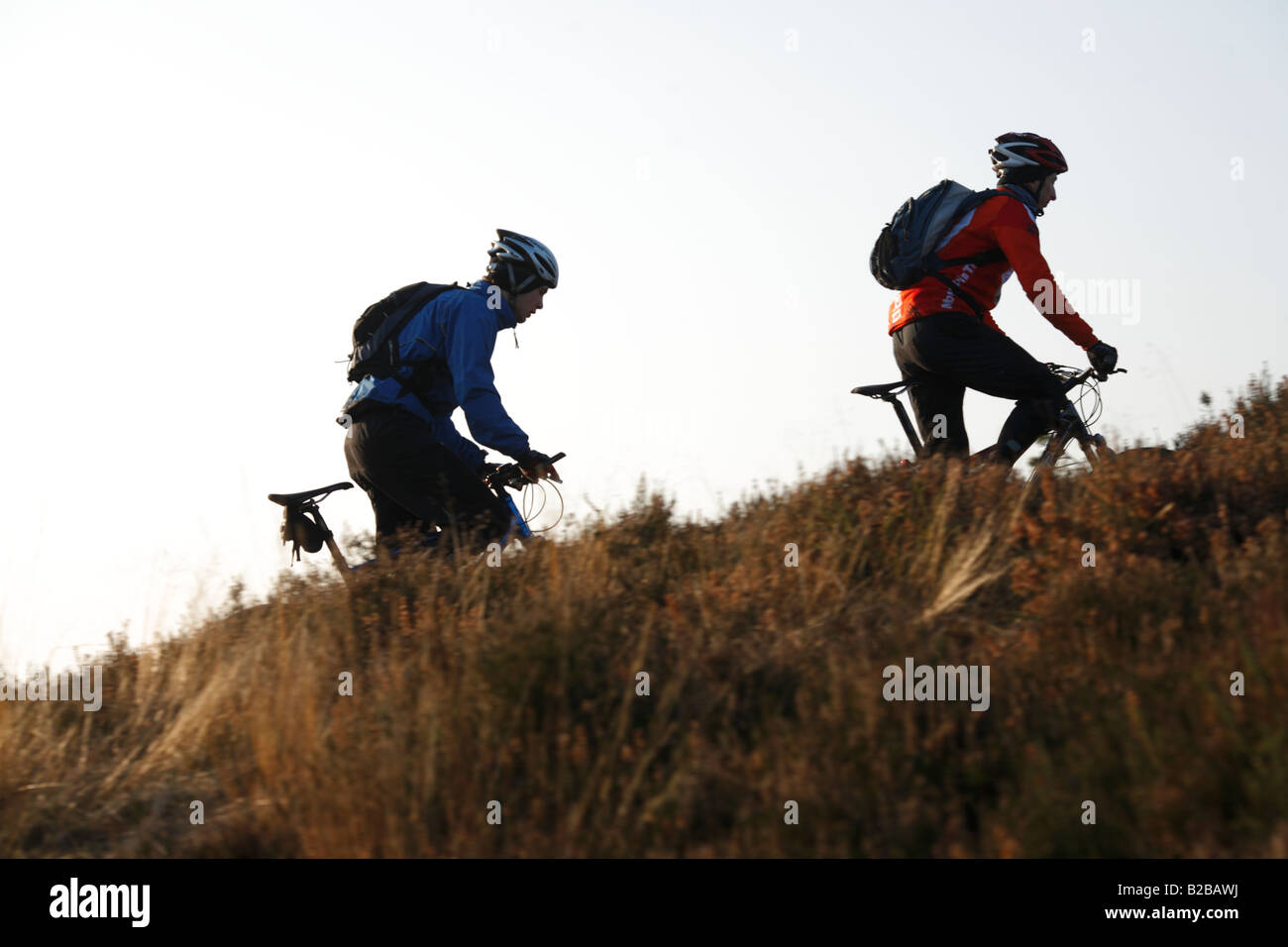 Les cyclistes de montagne Ride Uphill Banque D'Images