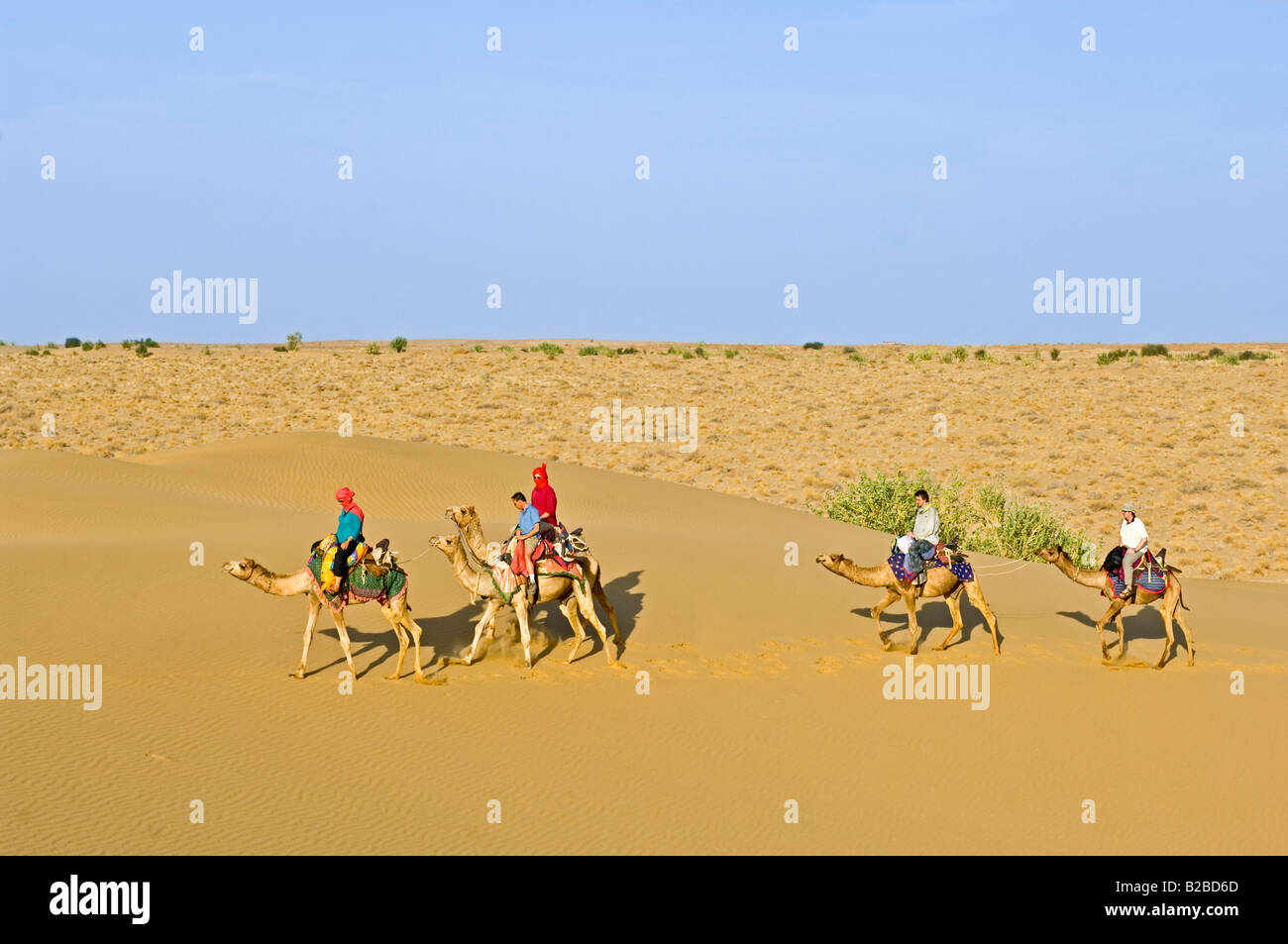 Un groupe de touristes sur des chameaux (Camelus dromedarius) en voyageant à travers le désert du Thar sur un safari de chameau. Banque D'Images