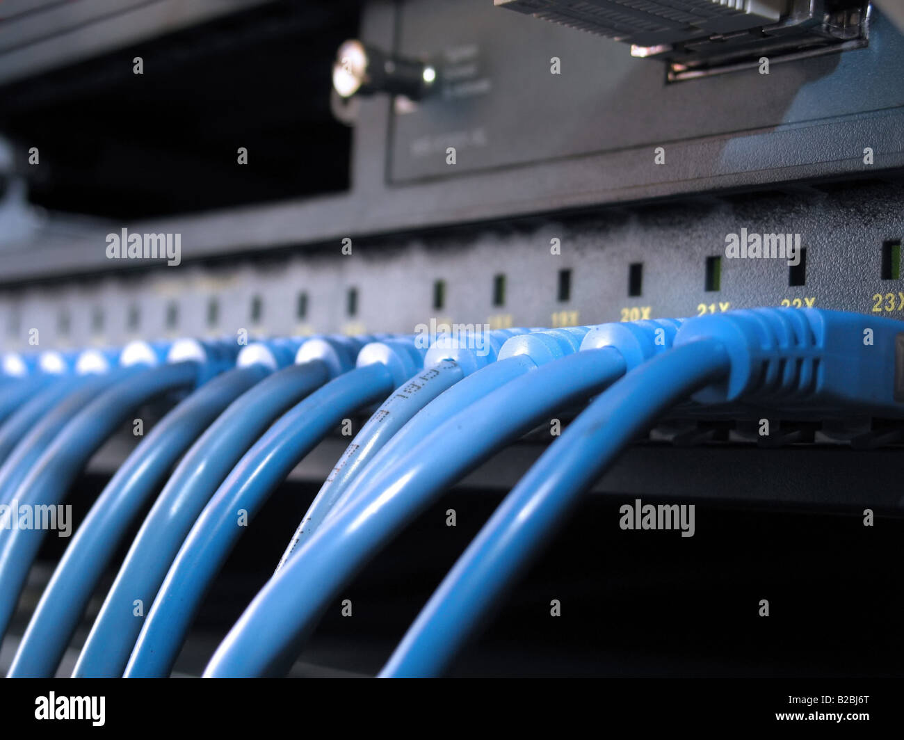 Une ligne de câbles réseau UTP bleu qui sont connectés à un commutateur Banque D'Images