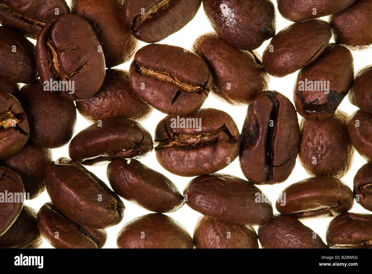 Les grains de café sur une table lumineuse Banque D'Images