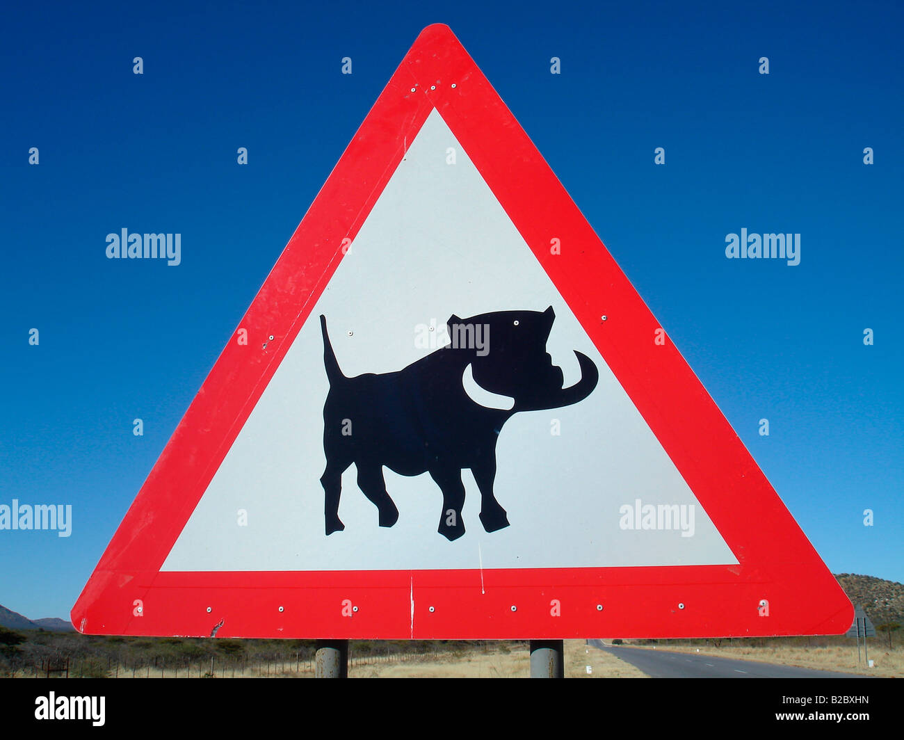 Road sign, méfiez-vous des phacochères, passage à niveau, près de Otjiwarongo, Namibie, Afrique Banque D'Images