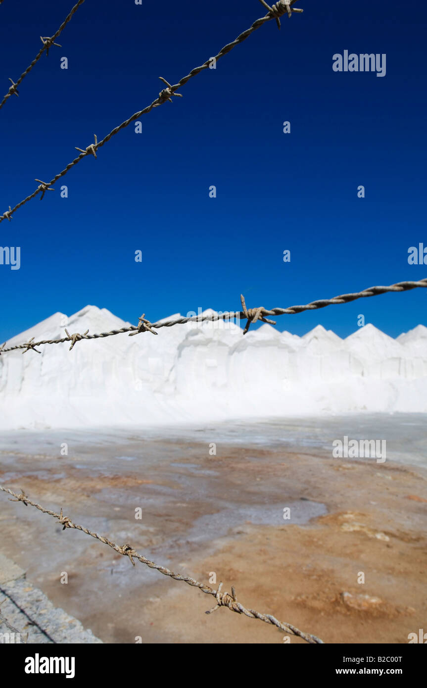 Seasalt dans la Saline de Lievant, étang d'évaporation de sel, Majorque, Îles Baléares, Espagne, Europe Banque D'Images