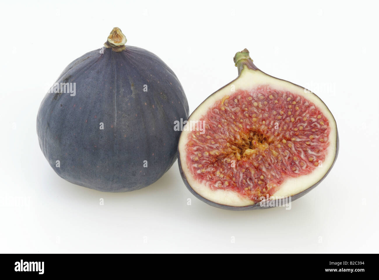 Fig commun (Ficus carica), de fruits Banque D'Images