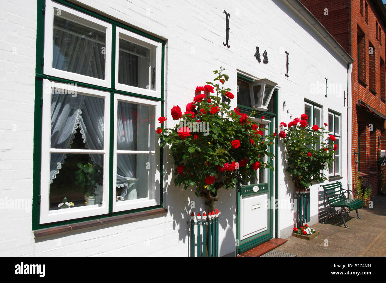 Roses rouges devant l'entrée, maison historique avec porte en bois décoratif, Friedrichstadt, Frise du Nord, Schleswig-Holstein Banque D'Images
