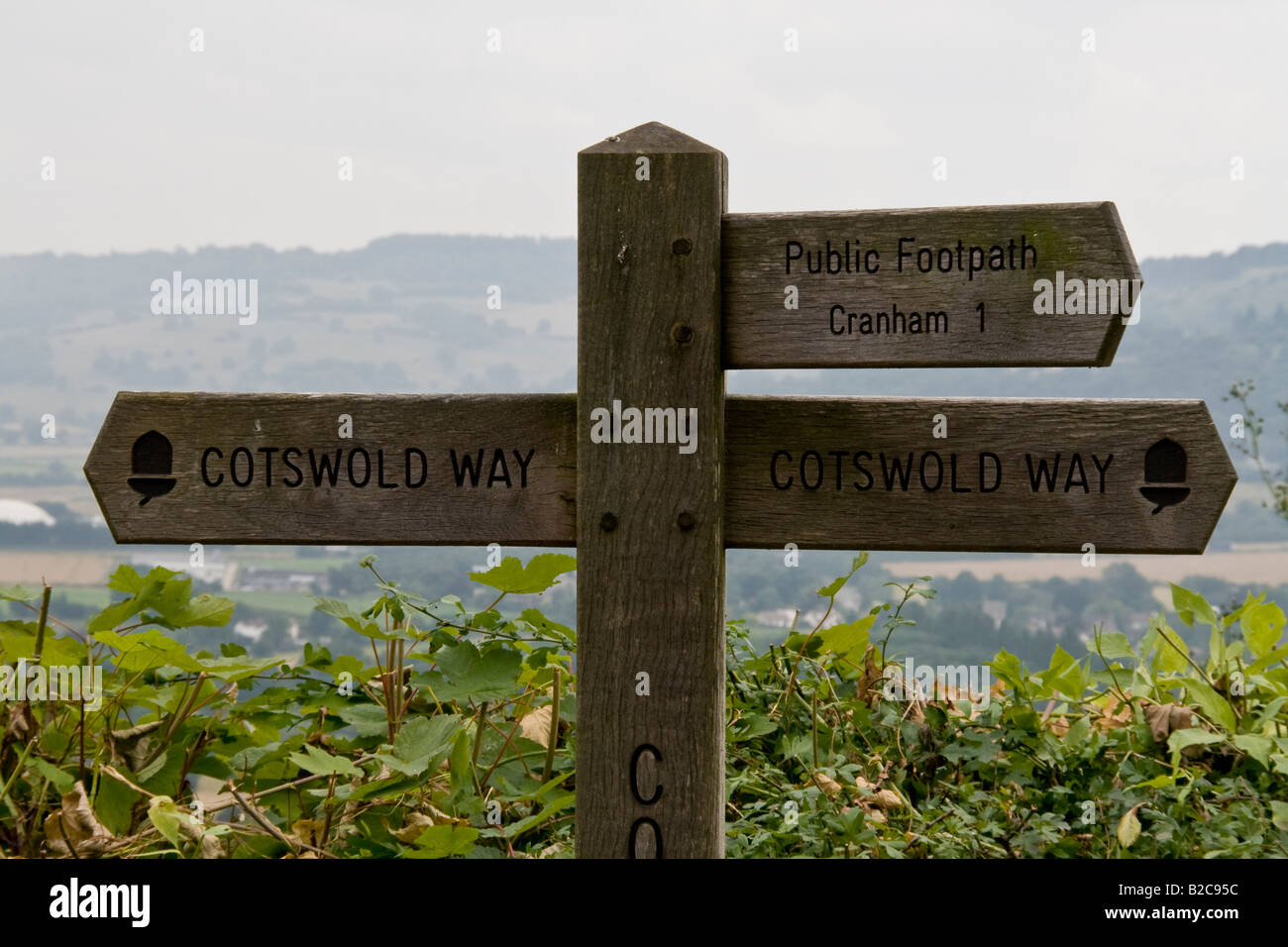 Cotswold Way panneau routier près de Coopers Hill, Gloucestershire, Angleterre Banque D'Images