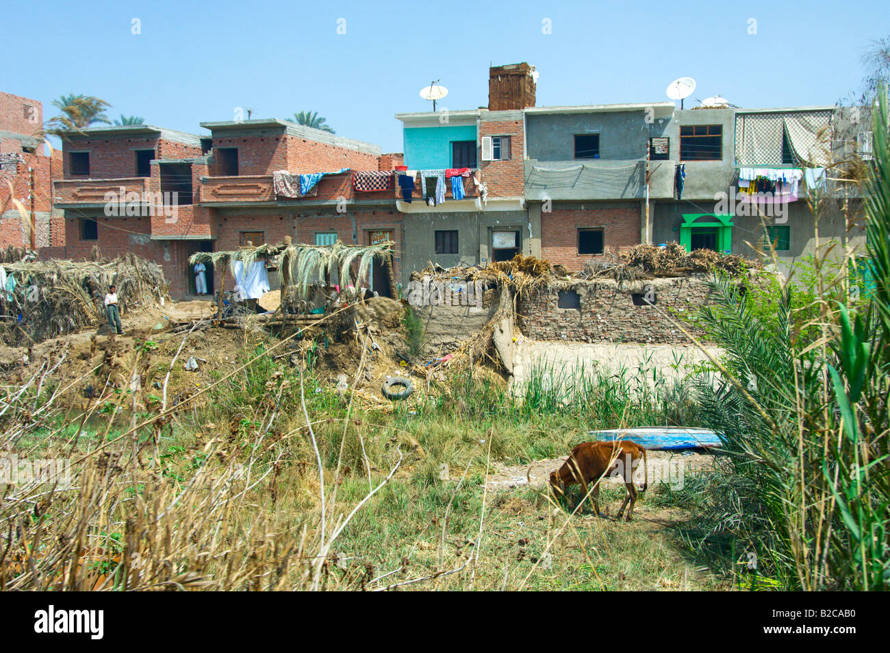 La campagne El Fayoum illustrant la vie rurale en Egypte Banque D'Images