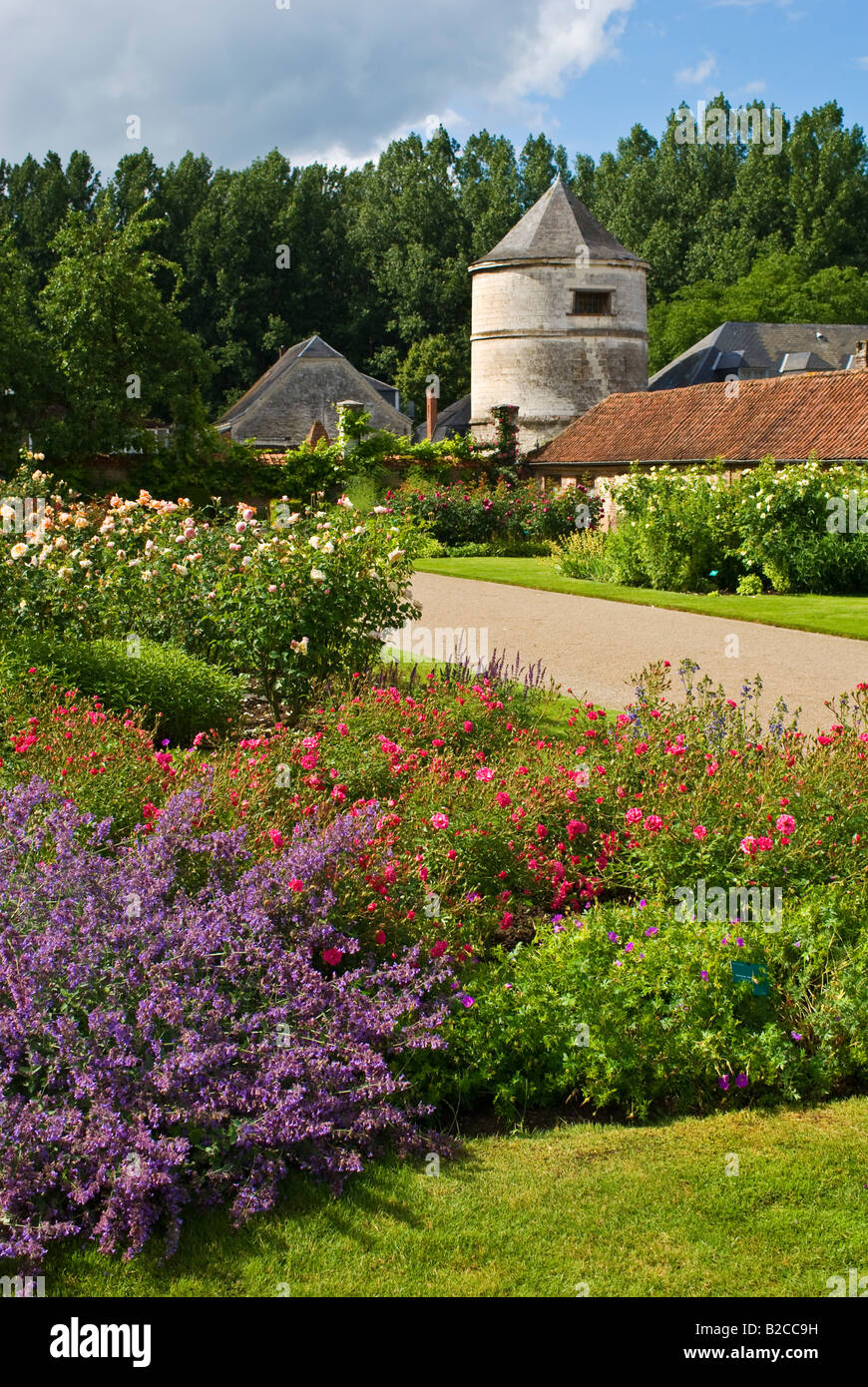 Le jardin de roses dans les Jardins de Valloires Normandie France UE Banque D'Images