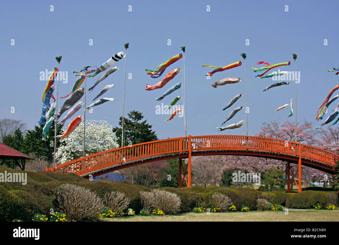 Les bourrasques Carp(Koinobori) survolant un pont en arc rouge Asagiri Highland Japon Shizuoka Banque D'Images