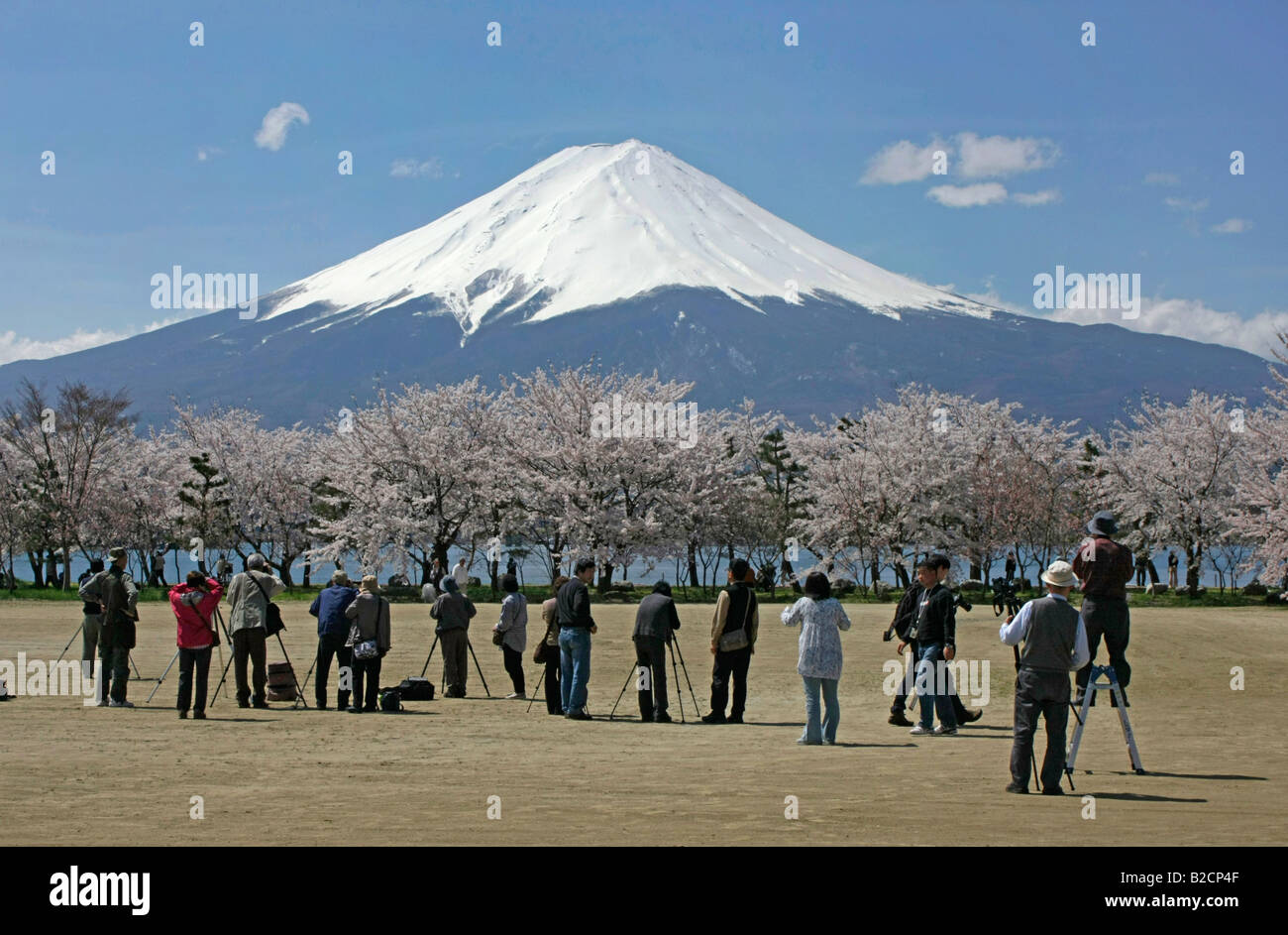 Beaucoup de photographes à prendre des photos de Mt. Fuji et fleurs de cerisier du Japon Yamanashi Ville Kawaguchiko Fond Banque D'Images