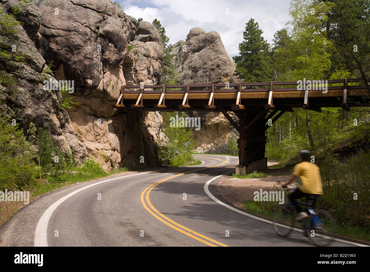 Sur le cycliste Peter Norbeck Scenic Byway, Iron Mountain Road, Black Hills National Forest, le Dakota du Sud Banque D'Images