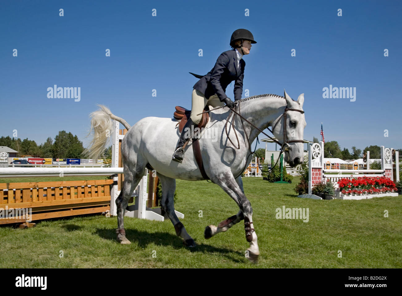 Un cavalier et son cheval Cavalier chasseur de prendre part à une compétition à la High Desert Classic un événement équestre bien connu Banque D'Images