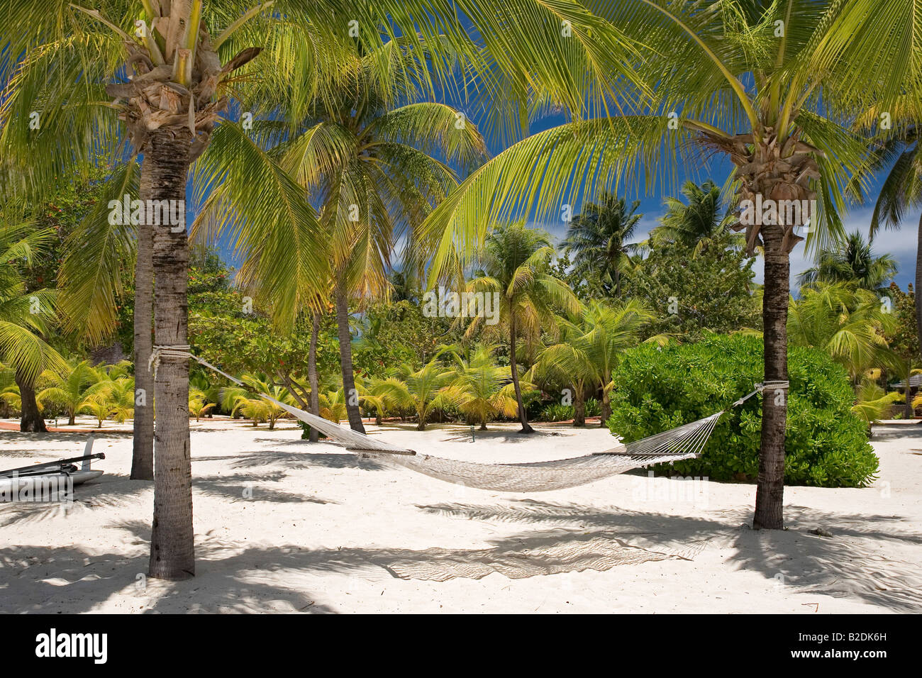 Hamac sous les palmiers Palm Island Grenadines Banque D'Images