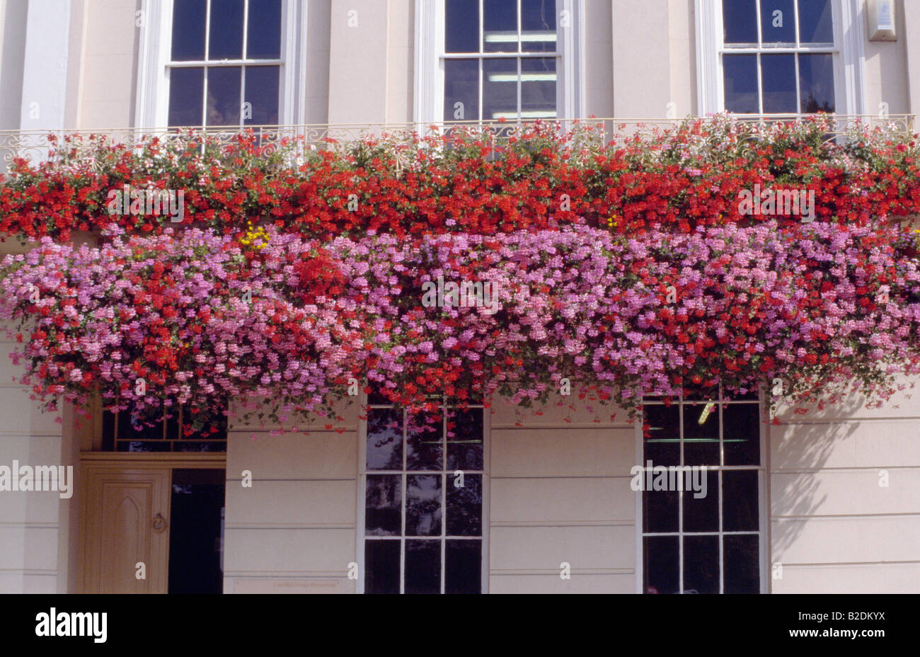Géraniums rouges et roses dans des conteneurs sur balcon de ville victorienne Banque D'Images
