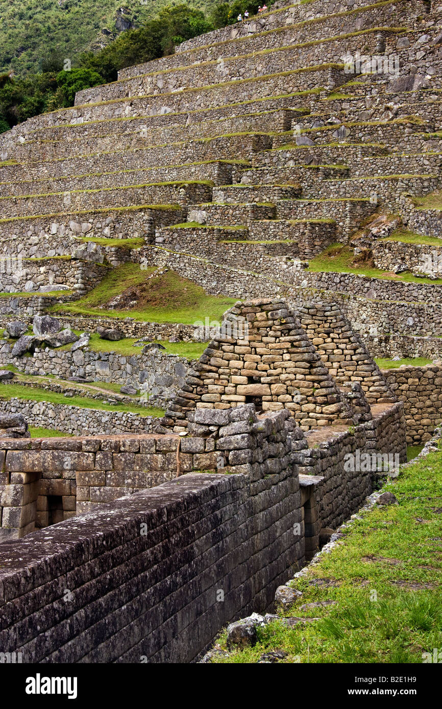 Les ruines Incas et les terrasses du Machu Picchu au Pérou en Amérique du Sud Banque D'Images
