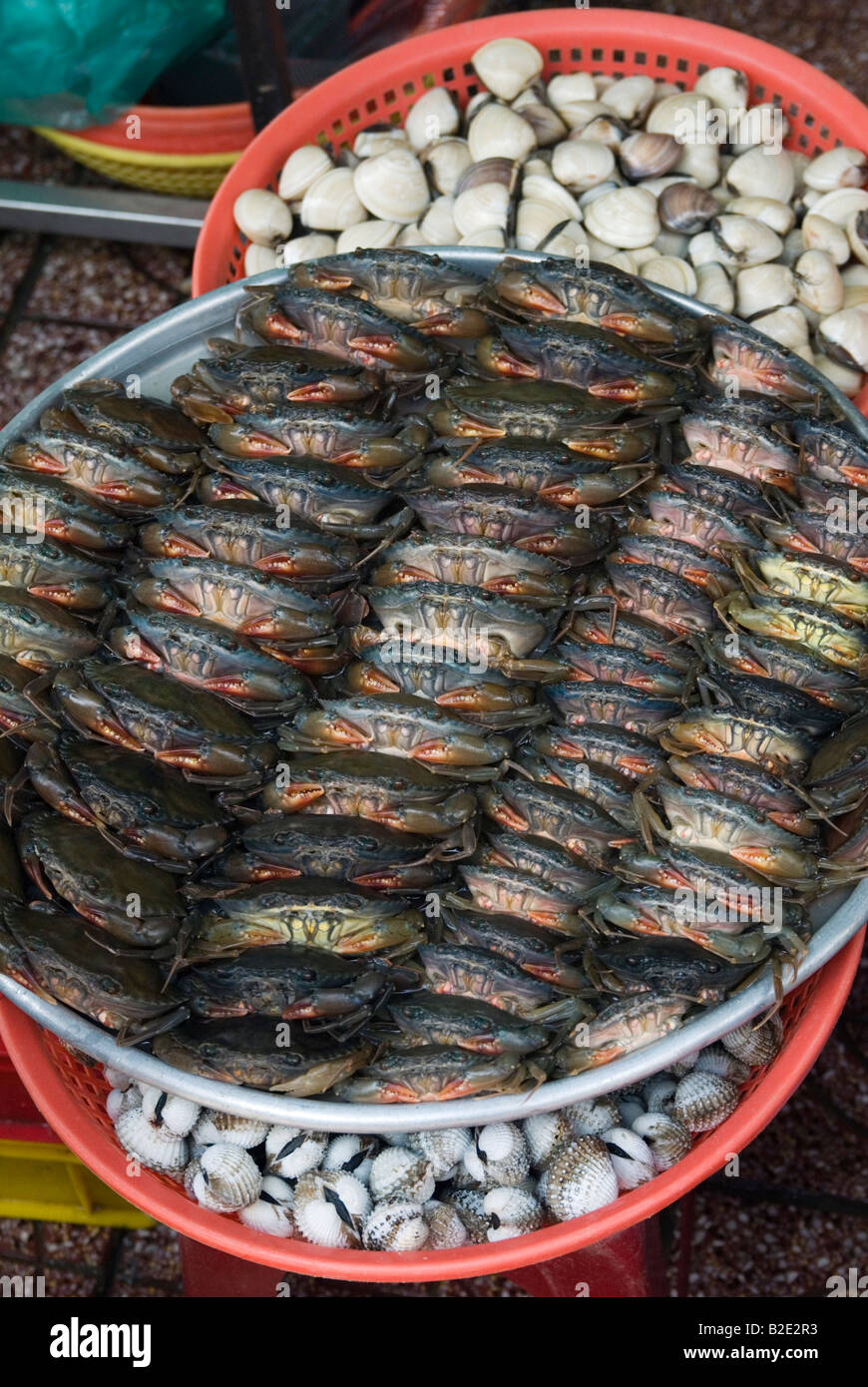 Les crabes frais au marché Ben Thanh, Ho Chi Minh City Banque D'Images